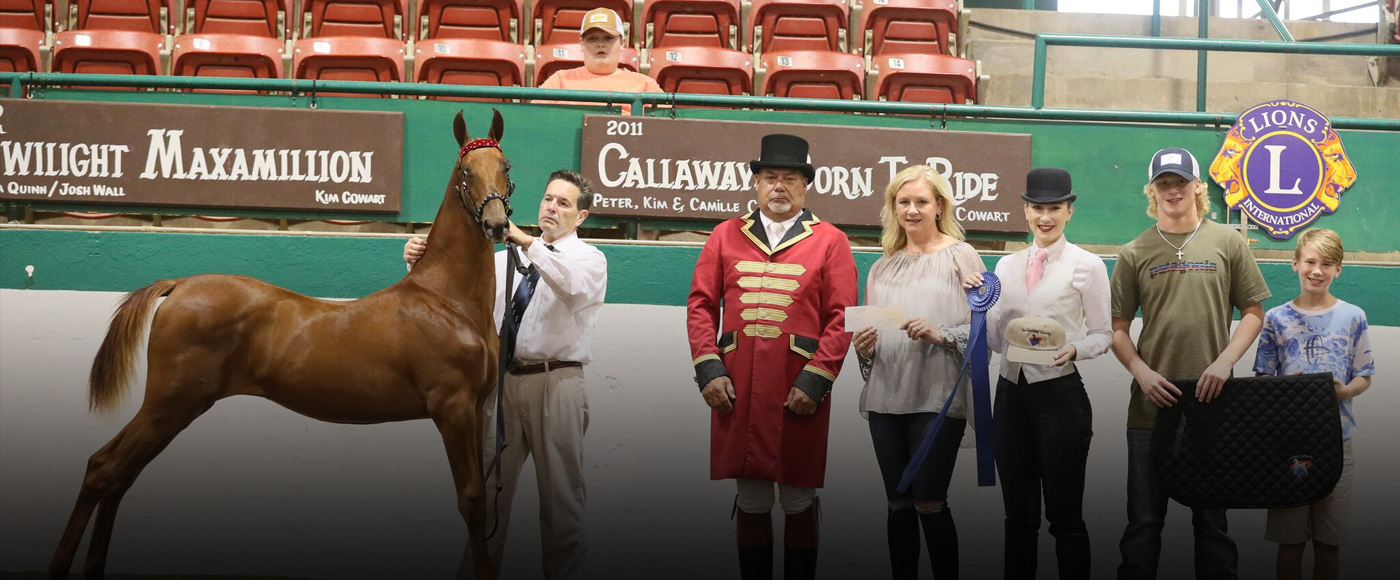 North Carolina State Championship Horse Show